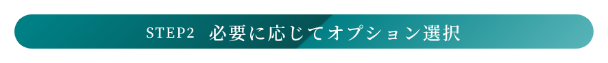 必要に応じてオプション選択