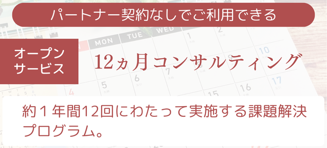 12ヵ月コンサルティング